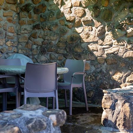 Strelitzia Cottage Кейптаун Екстериор снимка
